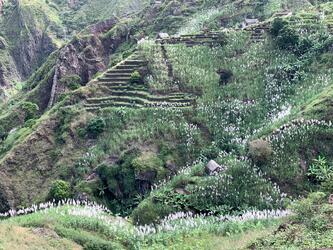 <b>WhatsApp Image 2025-12-09 at 21.14.22</b>